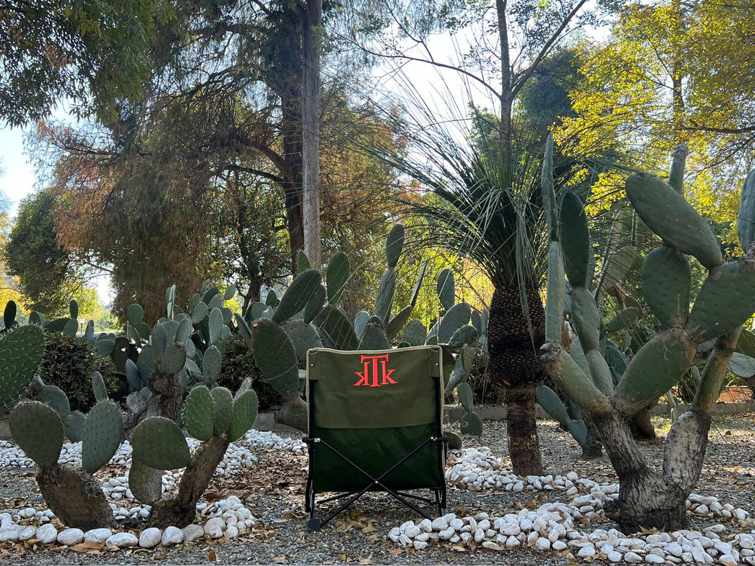 La mejor silla de playa plegable en bolsa para 2026: ligera, práctica y diseñada para disfrutar del verano